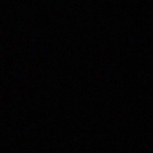 Meet your Posher, Leoneishka